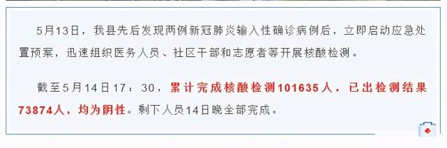 桐城最新病例及疫情防控的挑战与应对策略