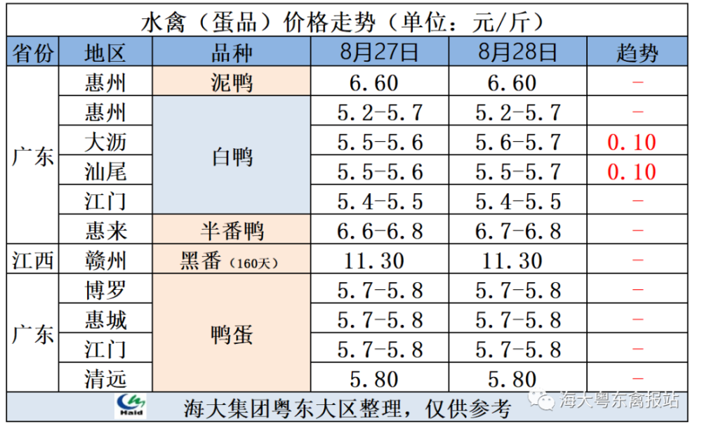 最新种蛋价格动态及其对农业产业链的全面影响分析