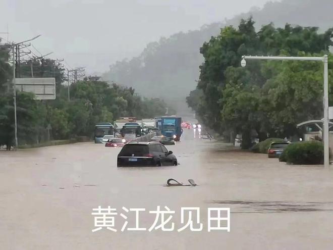 东莞水淹最新情况报告，暴雨影响及应对措施分析