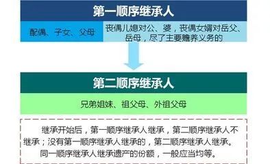 转继承最新发展及其影响概览