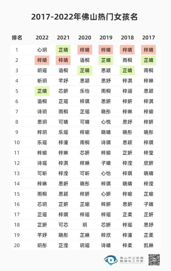 Y名下的新探索与启示之旅