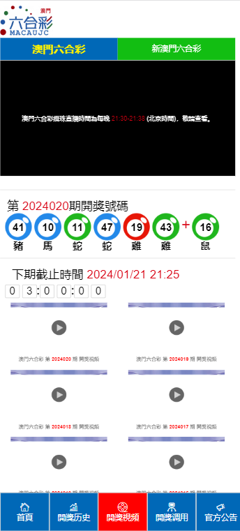 2024年新澳门王中王开奖结果,财务方案解析_机动版63.636