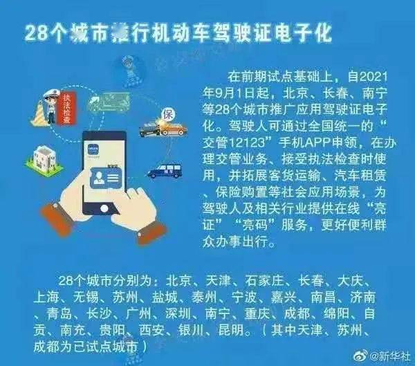 2024年正版资料免费大全功能介绍,见解执行策略落实_高档版32.03