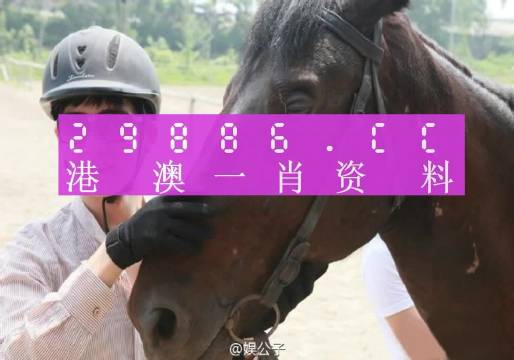 澳门今晚必中一肖一码准确9995,准确解答执行落实_进修版97.262