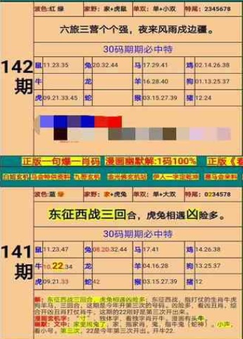 新澳门精准四肖期期准,专业说明评估_专注款14.248