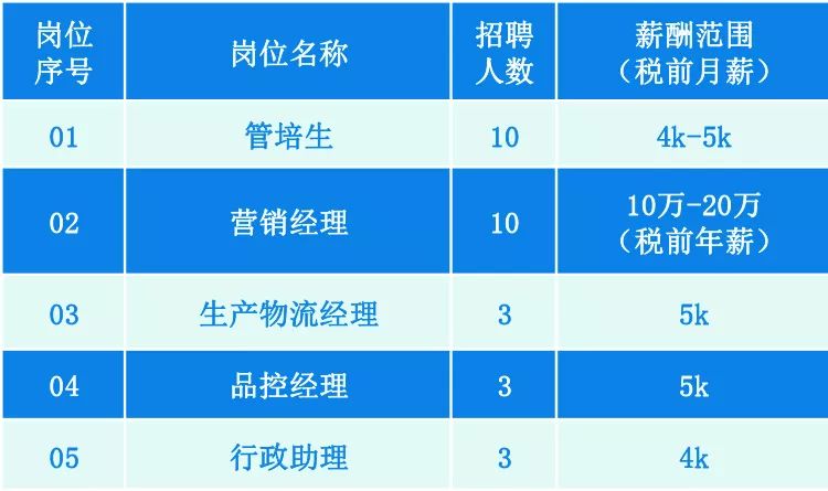 2024新澳兔费资料琴棋,系统检测的执行方案_限定型59.324