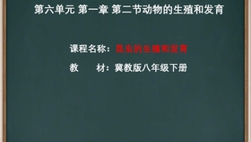 2024新澳今晚资料鸡号几号,安全解析方案_宇宙神RXU180.25