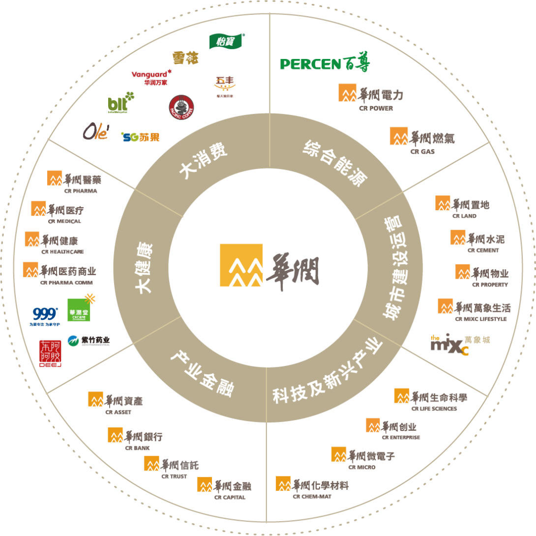 华润公司最新动态概览