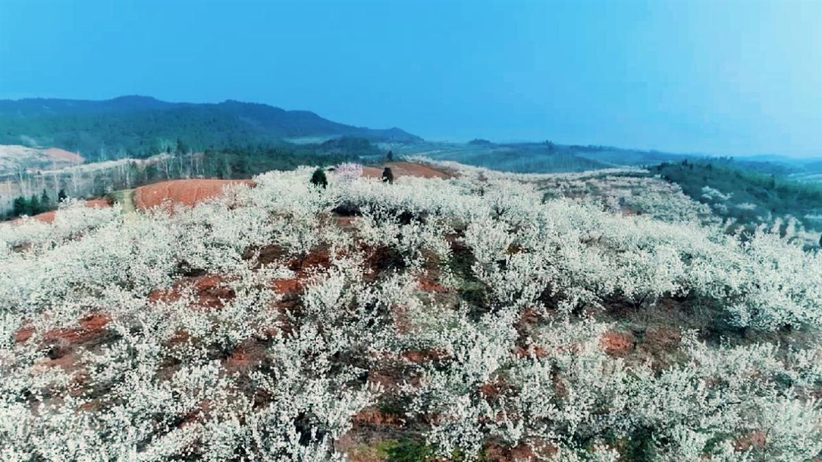 襄阳最新旅游攻略指南