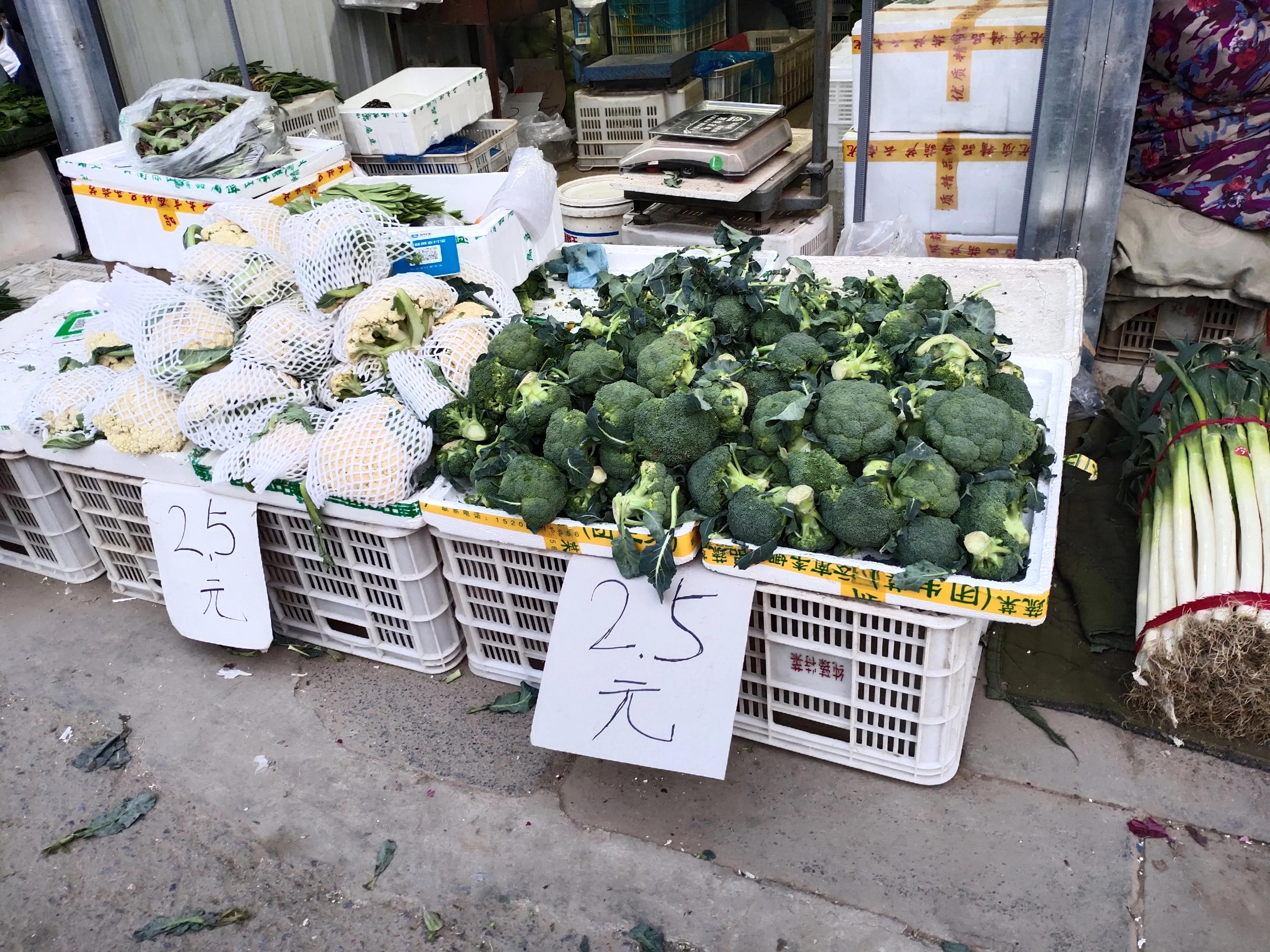 今日大葱价格波动及趋势解析