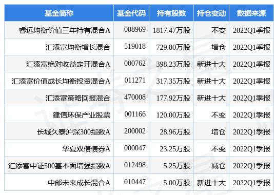 睿远最新净值深度解析及前景展望