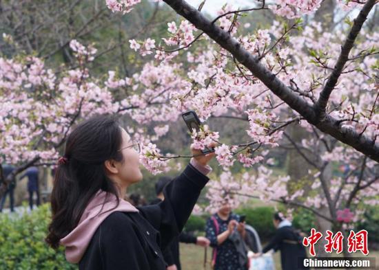 太湖最新拍地动态，新机遇与挑战下的土地市场揭秘