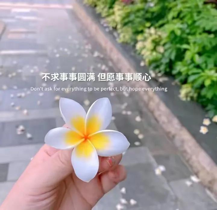 简短句子，浓缩信息的力量与美感之巅