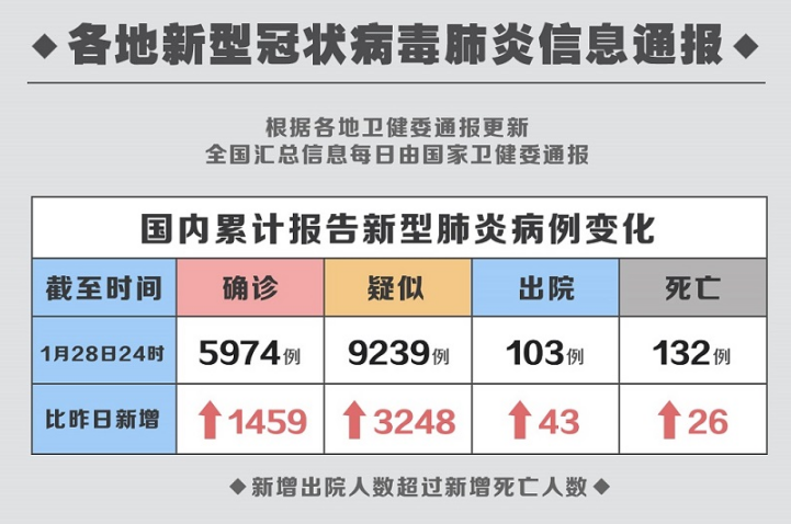 肺炎最新日晴观察报告，最新动态与趋势分析