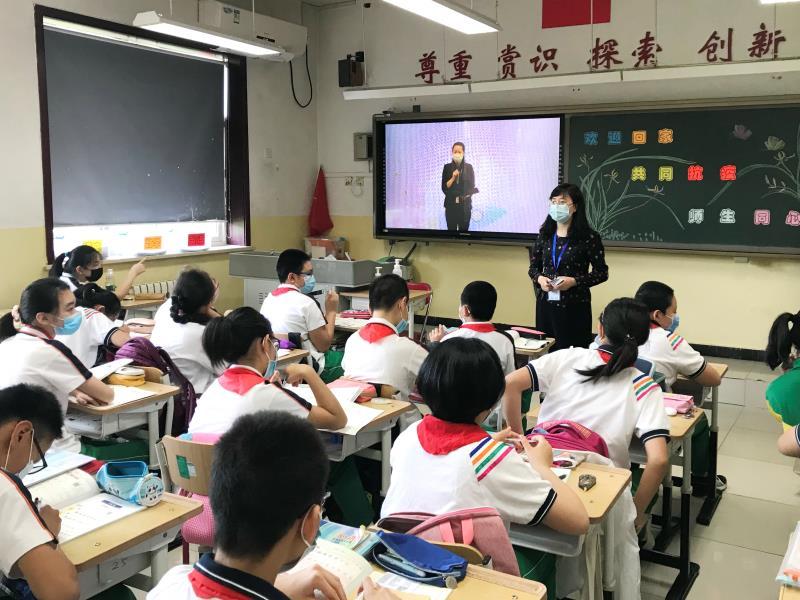 清新县小学最新新闻动态概览