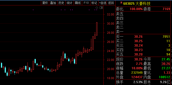 大豪科技涨停背后的驱动力与前景展望