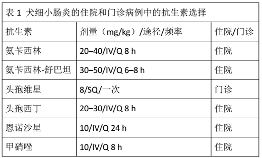 全球最新病毒总结，疫情现状分析与应对策略