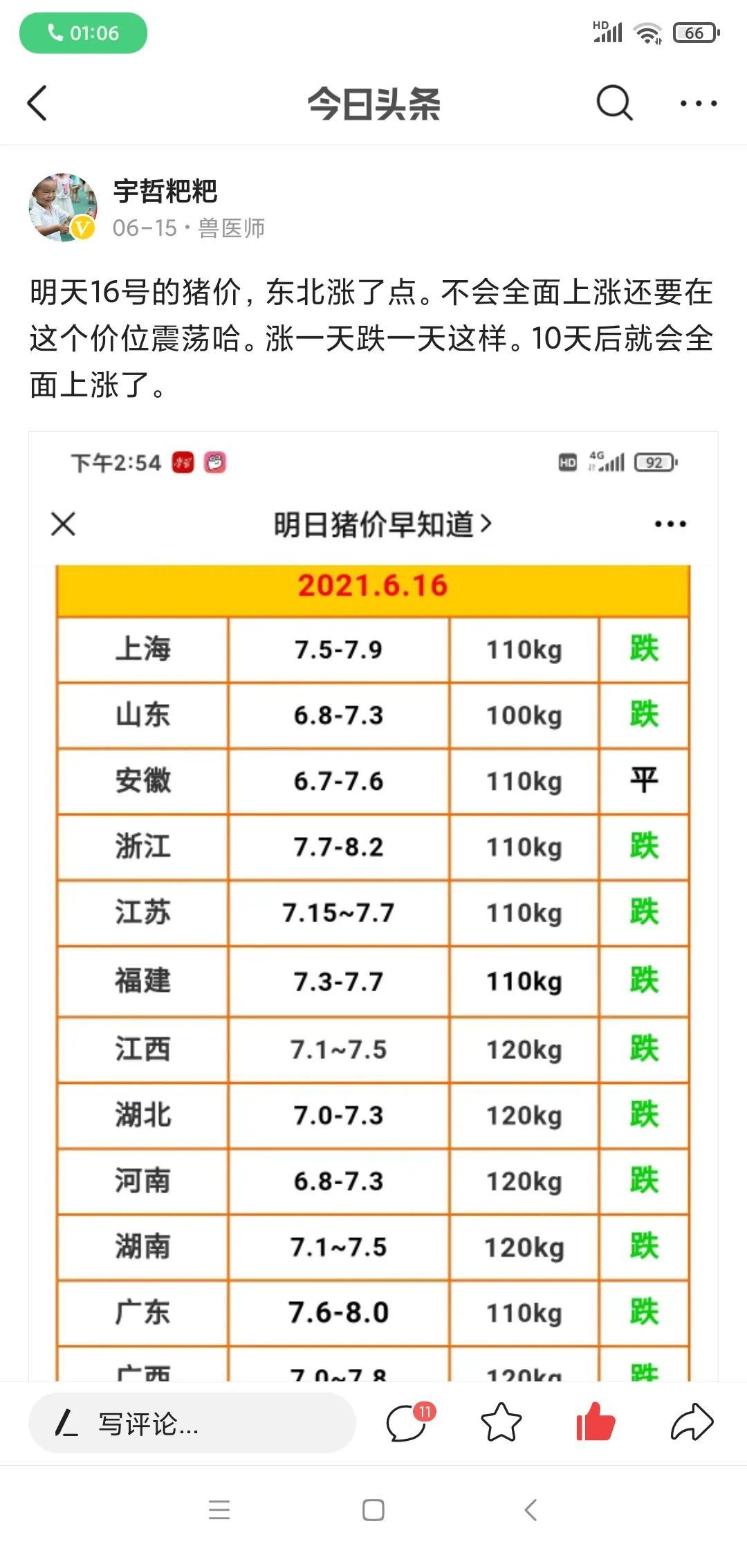 明日猪价最新分析与预测，最新分析与趋势展望