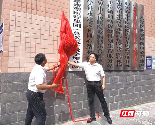 永定区卫生健康局发展规划，构建健康未来之路