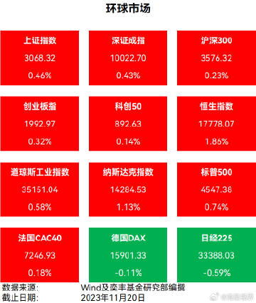 2024澳门天天开好彩大全app,自然科学定义_恒星级ZQV44.02