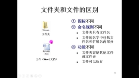 800图库,系统科学_练筋DMO87.09