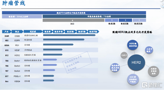 新澳精准资料免费提供221期,深入应用数据解析_DX版50.643