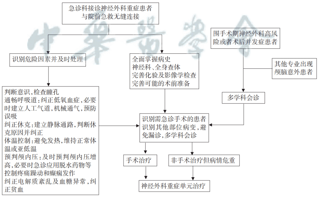 澳门一码一肖一特一中直播结果,标准化流程评估_开发版74.934