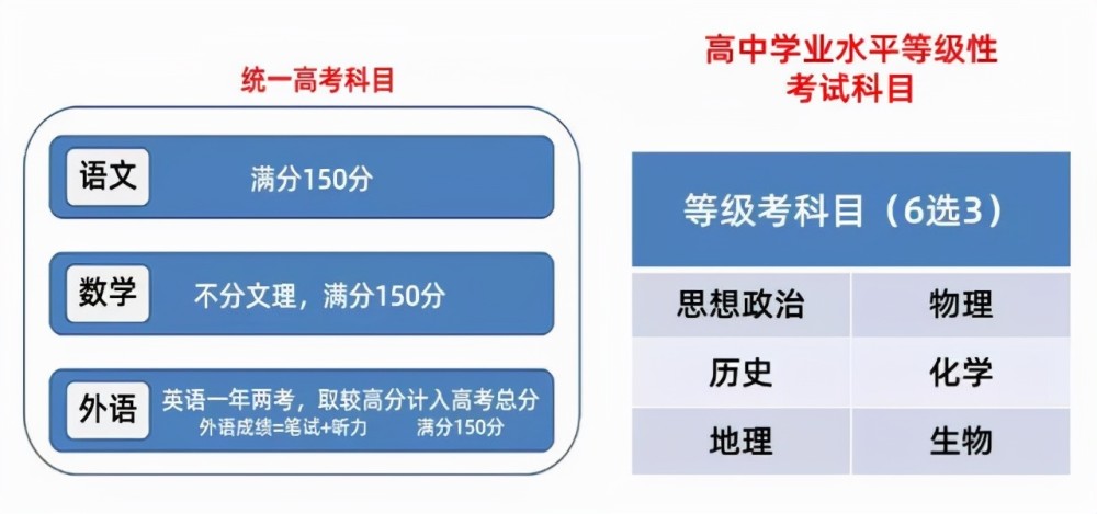 2024新奥正版资料免费提供,机构预测解释落实方法_薄荷版13.993