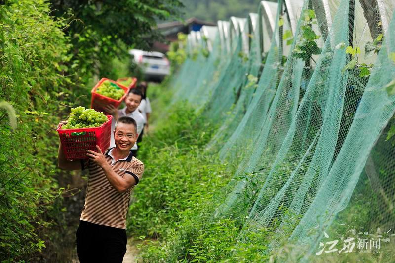 江西万载在线新闻网，地方新闻传媒的典范标杆