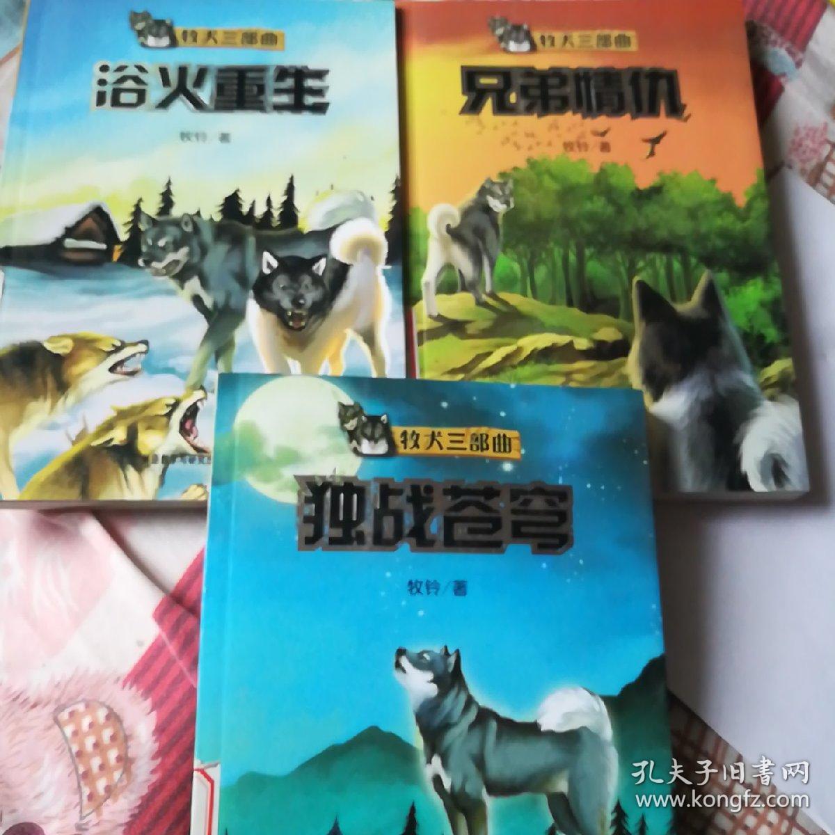 牧犬三部曲在线阅读探险的魅力之旅