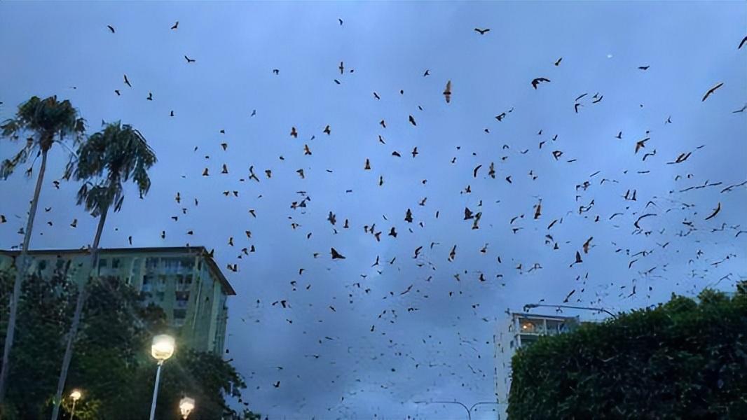 地震预警软件下载，守护生命安全的数字先锋