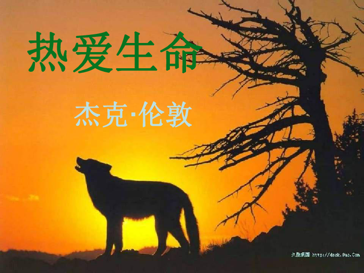 探寻生命旅程的无尽可能，生命故事下载