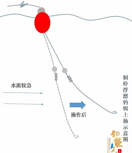 最新台钓法探索与实践指南