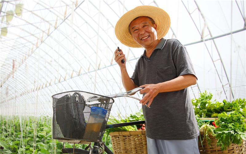 探索未来农业新领域，最新种植作物研究与实践