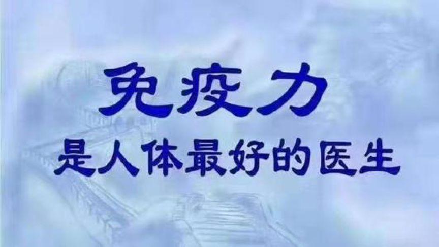 重塑认知，开启智慧之门，最新脑灵素研究揭秘与探索