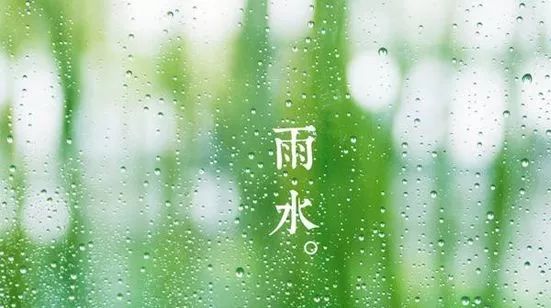 最新雨水图片，自然之美的展现